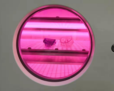 真空丝瓜视频下载安装IOS网站官网清洗机.png 真空丝瓜视频下载安装IOS网站官网清洗机.png