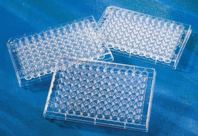 酶标板.png 酶标板.png