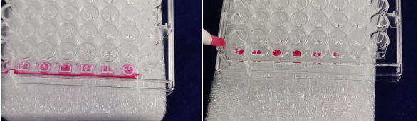 酶标板.png 酶标板.png