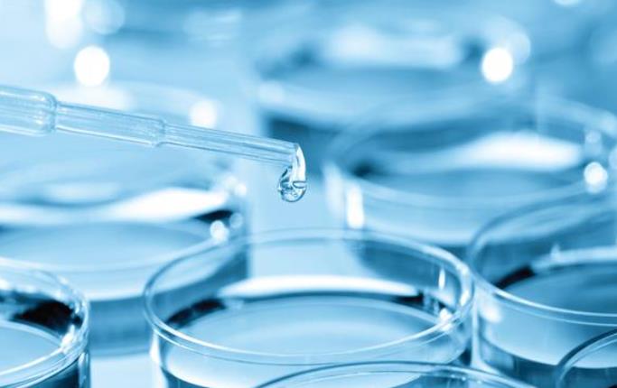 培养皿.jpg 培养皿.jpg