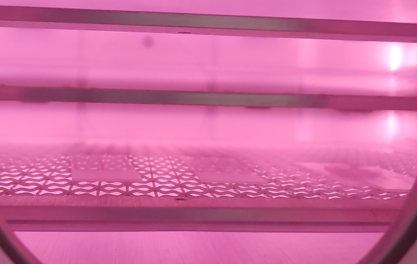 Plasma清洗机.png Plasma清洗机.png